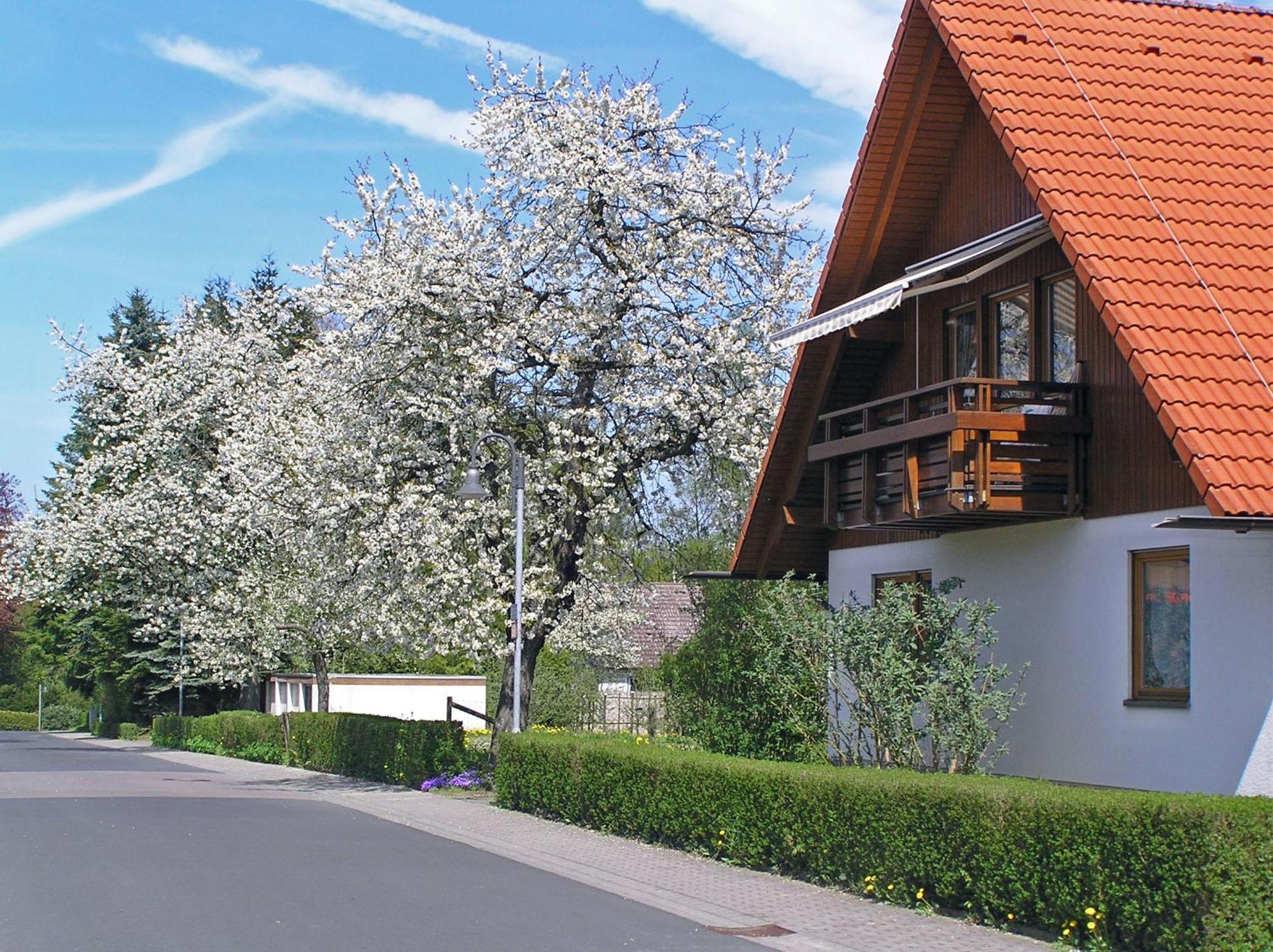 Ferienwohnung Am Schlosspark Schlitz Exterior foto